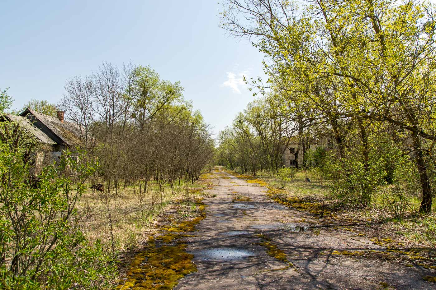 Три заброшенные деревни в Вязниковском районе