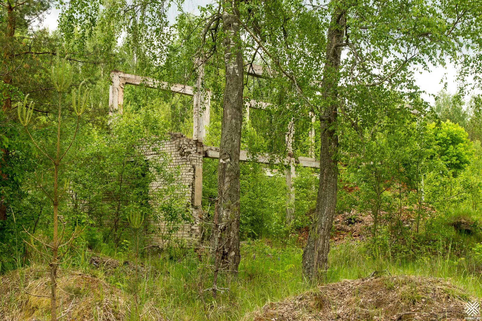 Заброшенная постройка