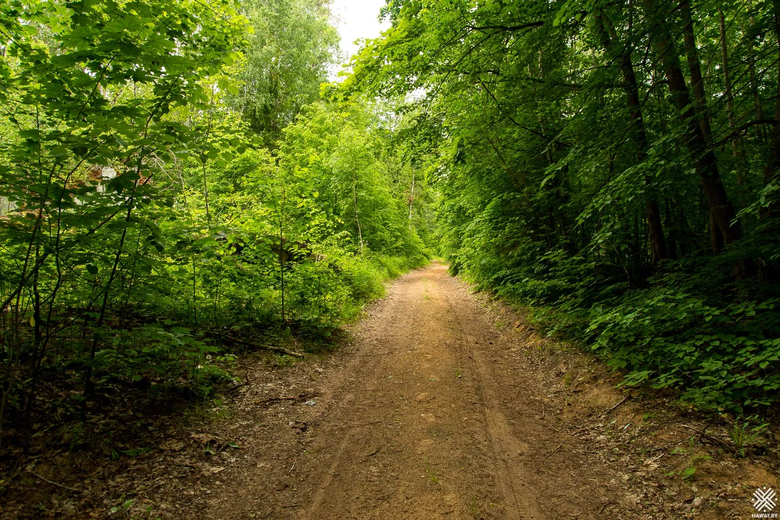Дорога