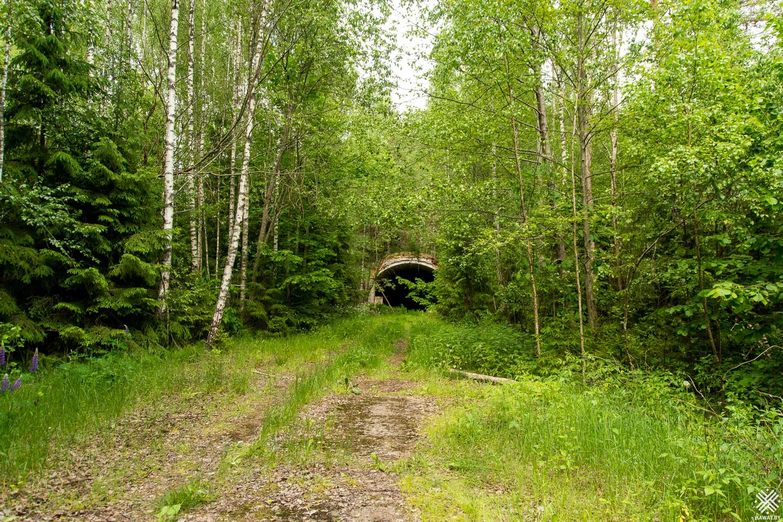 249-й ракетный полк 