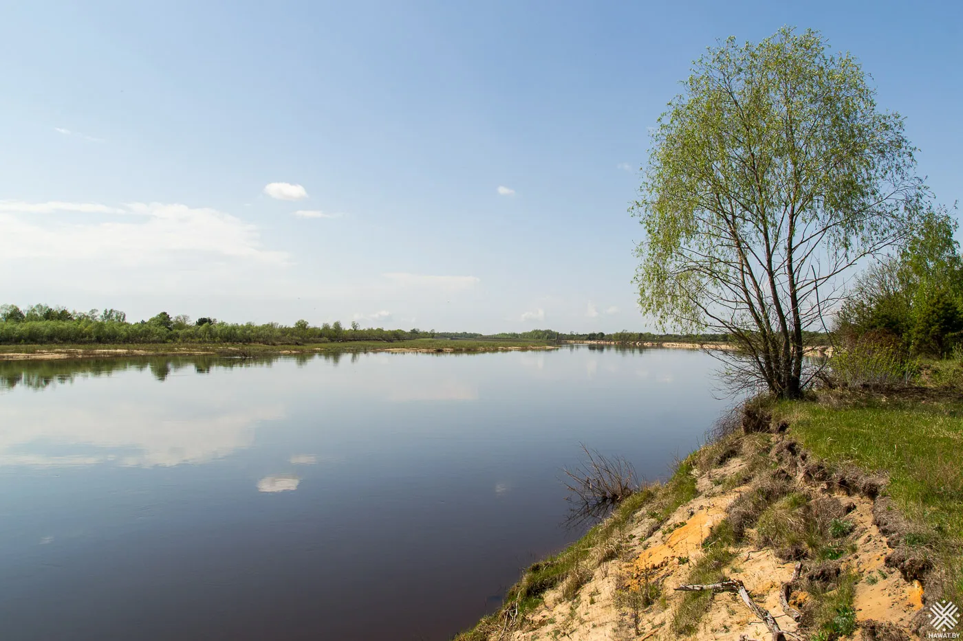 Река Припять