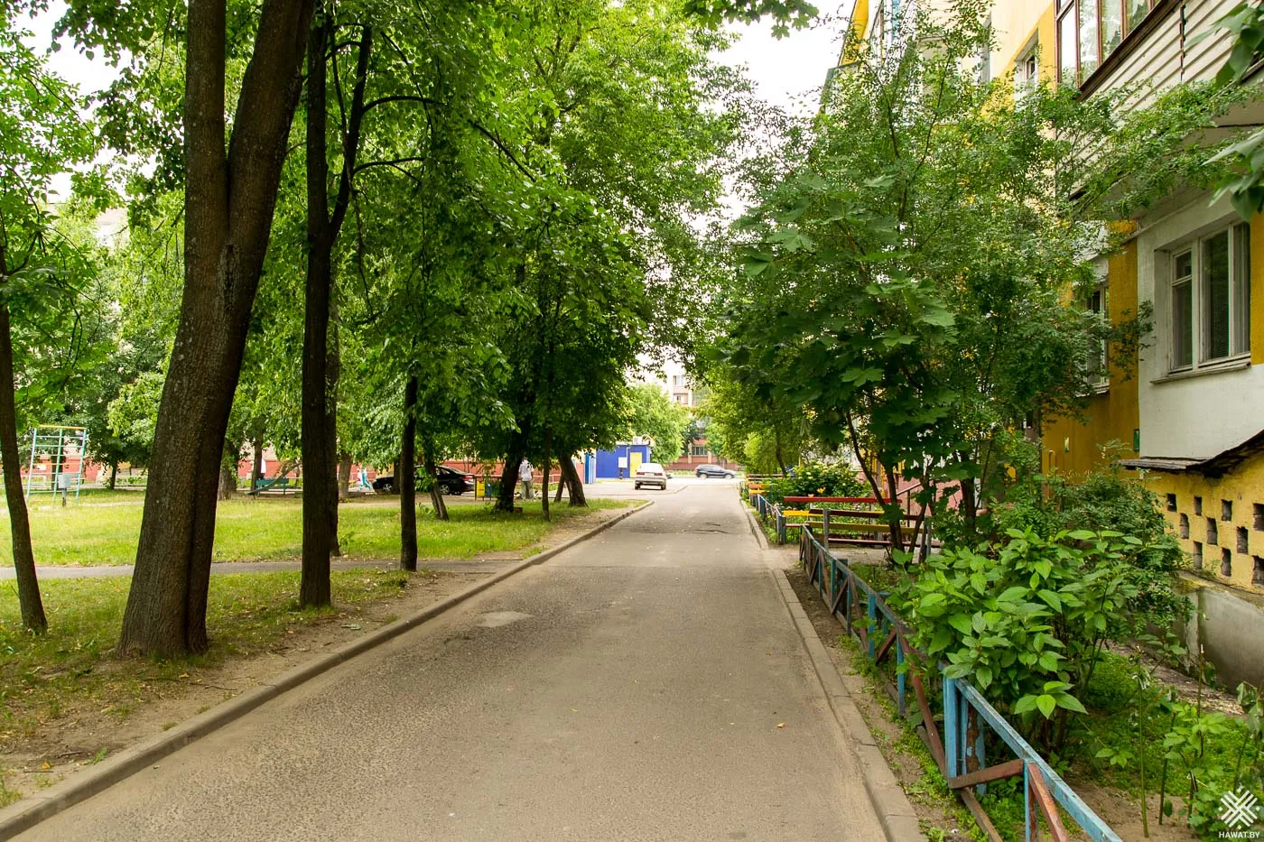 Тенистая аллея во дворе в Бобруйске