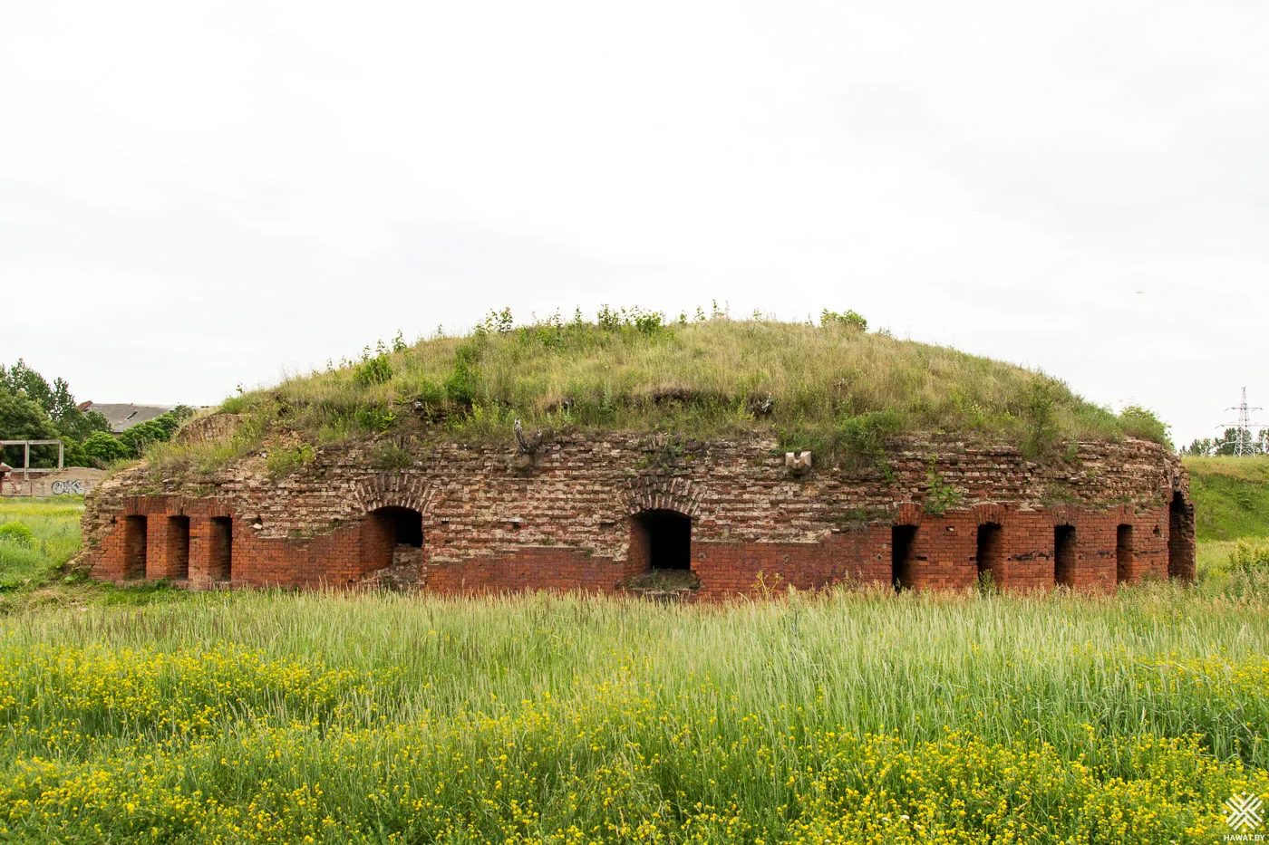 Редюит, Бобруйск