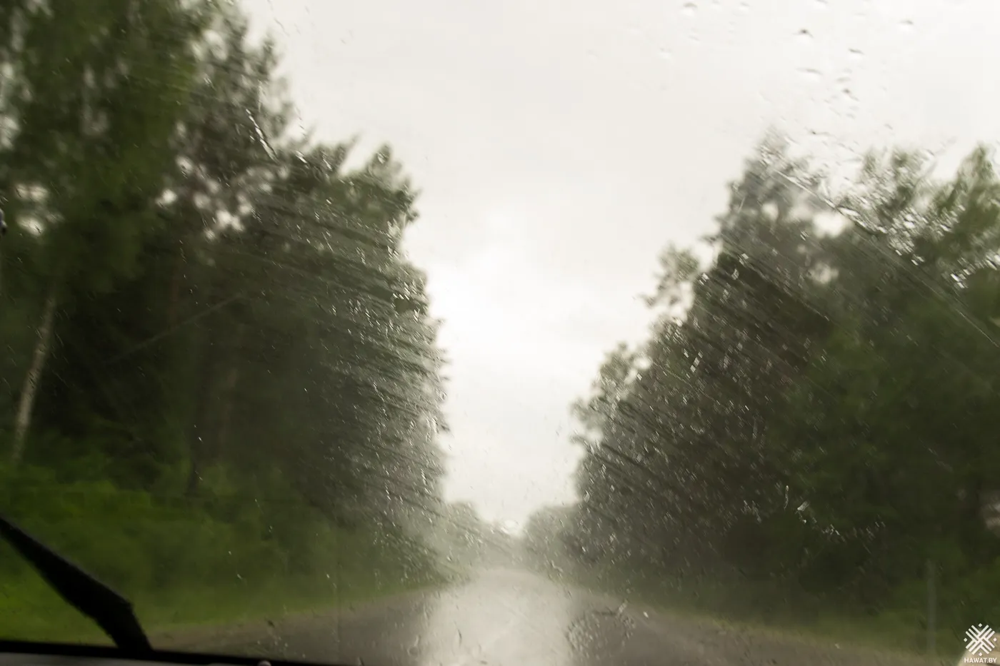 Дождь
