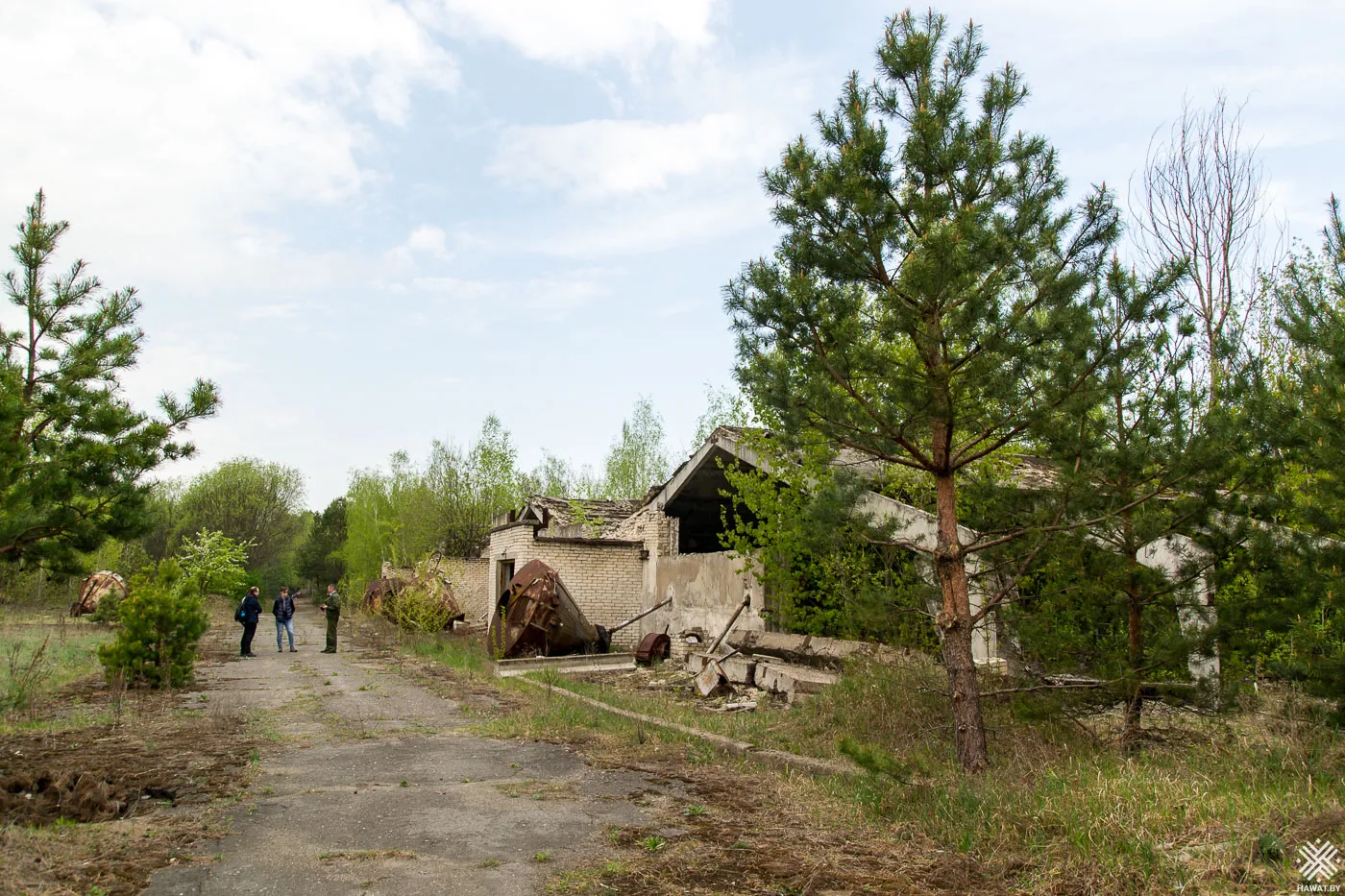 Разрушенные корпуса животноводческого комплекса у дороги