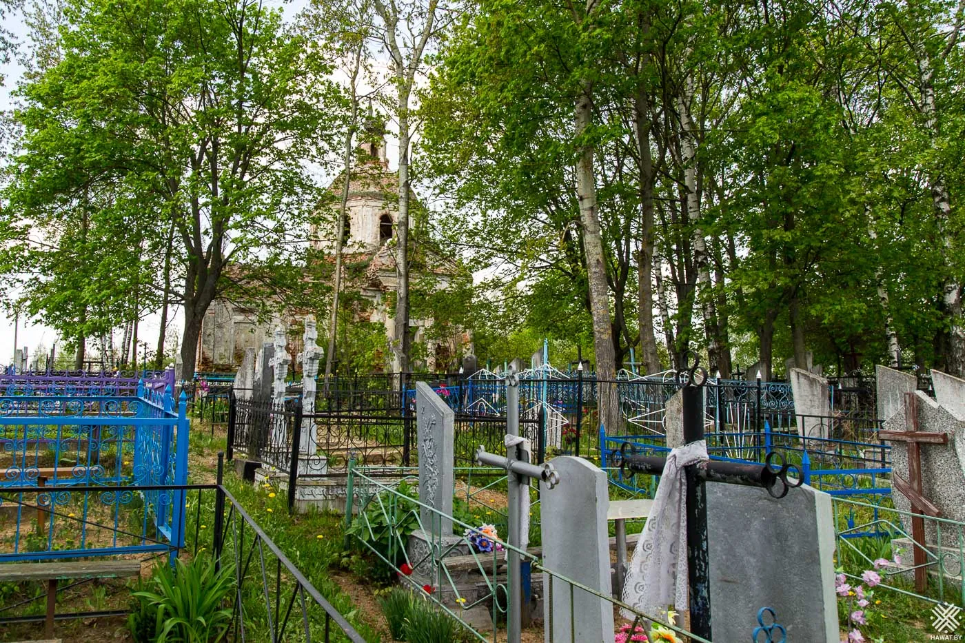 Кладбище