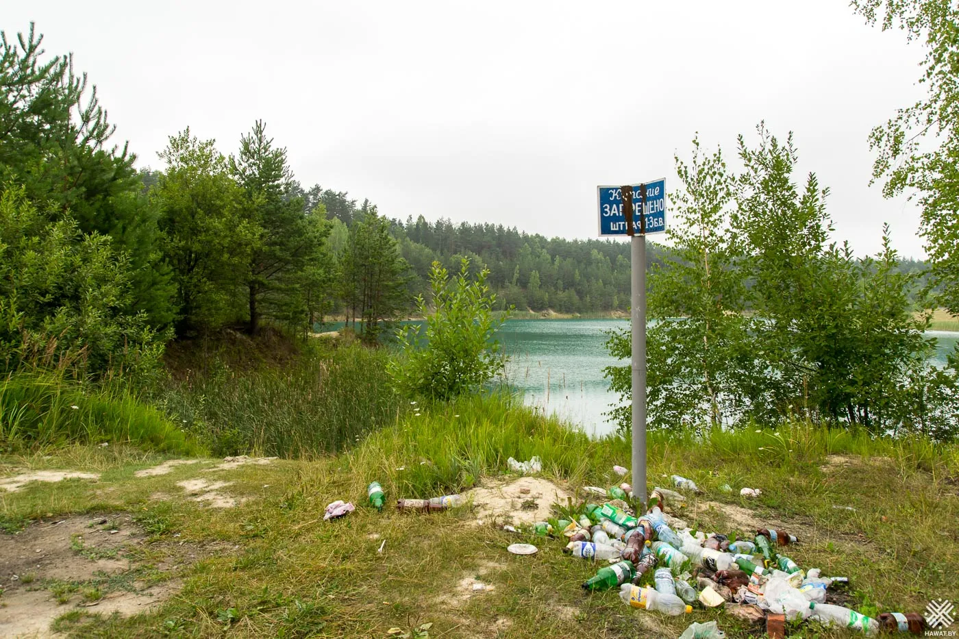 Помойка