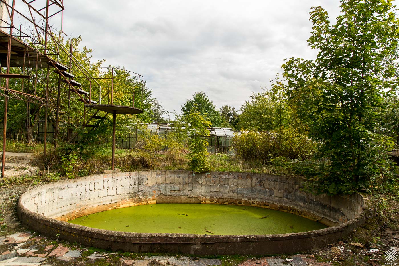 Старый бассейн
