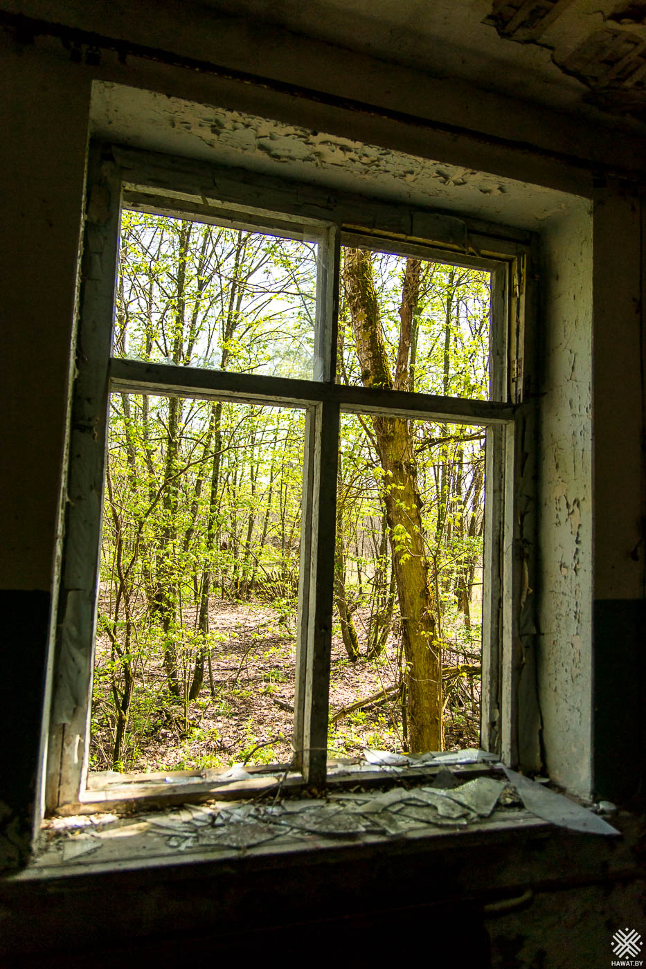 Окно в заброшенном здани
